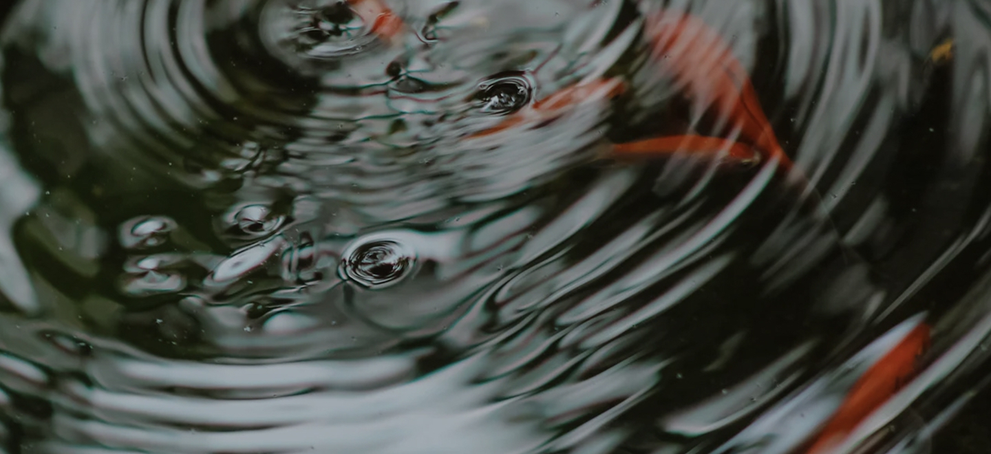 Les soins vibratoires